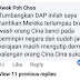 Orang Cina Pun Suka DAP Kalah