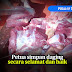 Petua simpan daging secara selamat dan baik