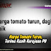 Harga Tomato Turun, Terima Kasih Kerajaan PH