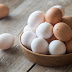 Pakar Nutrisi Jelaskan Salah Faham Telur